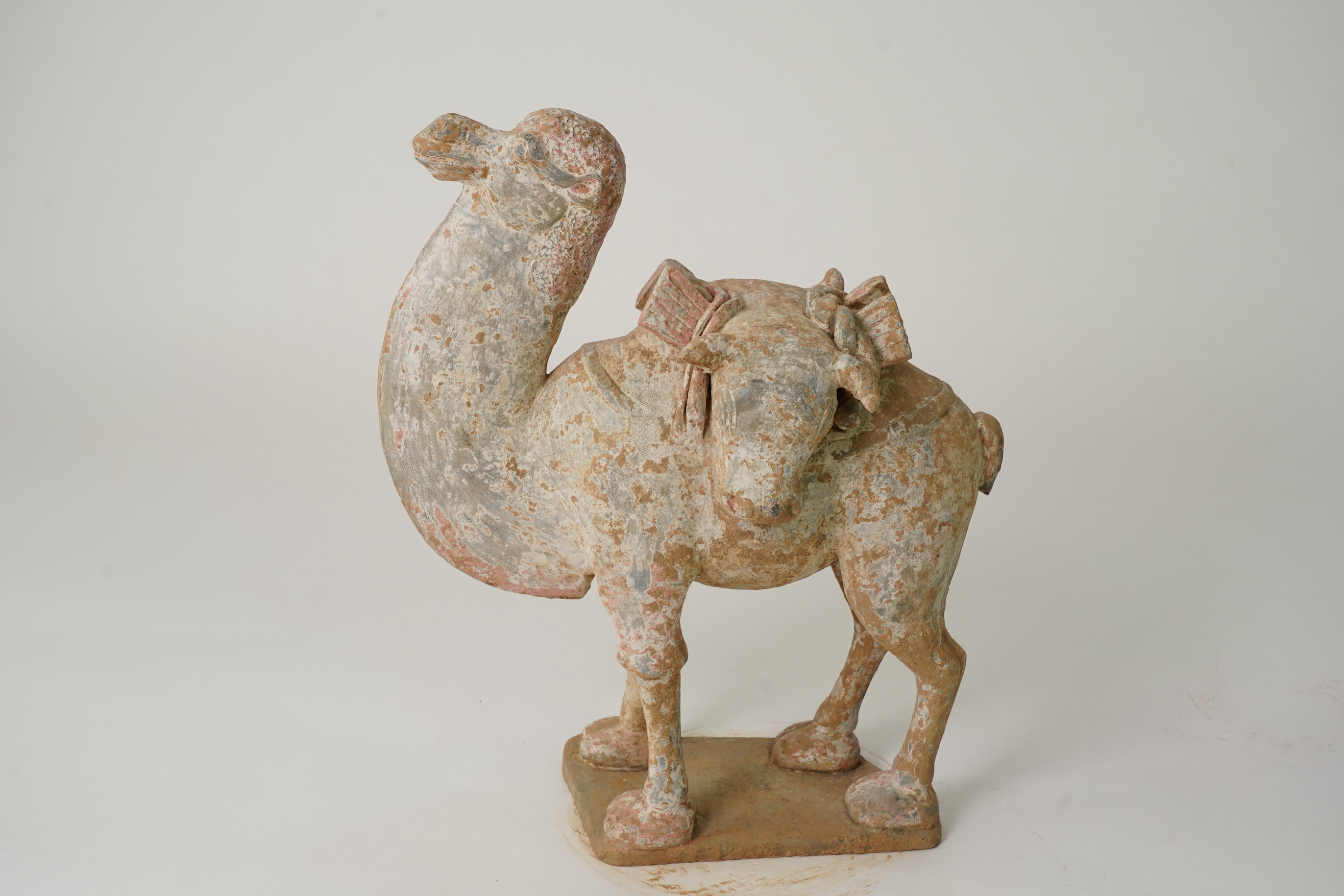 A Chinese pottery tomb figure of a Bactrian camel, Tang dynasty or later